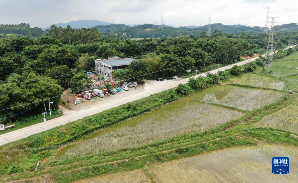 免费领彩金网站